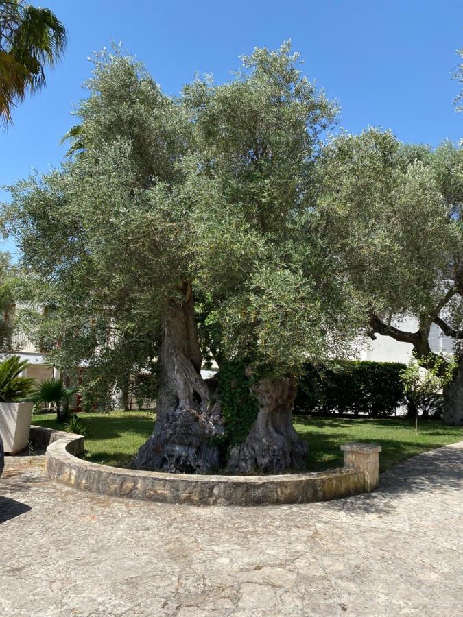 Citta Bianca Country Resort Ostuni Exterior photo